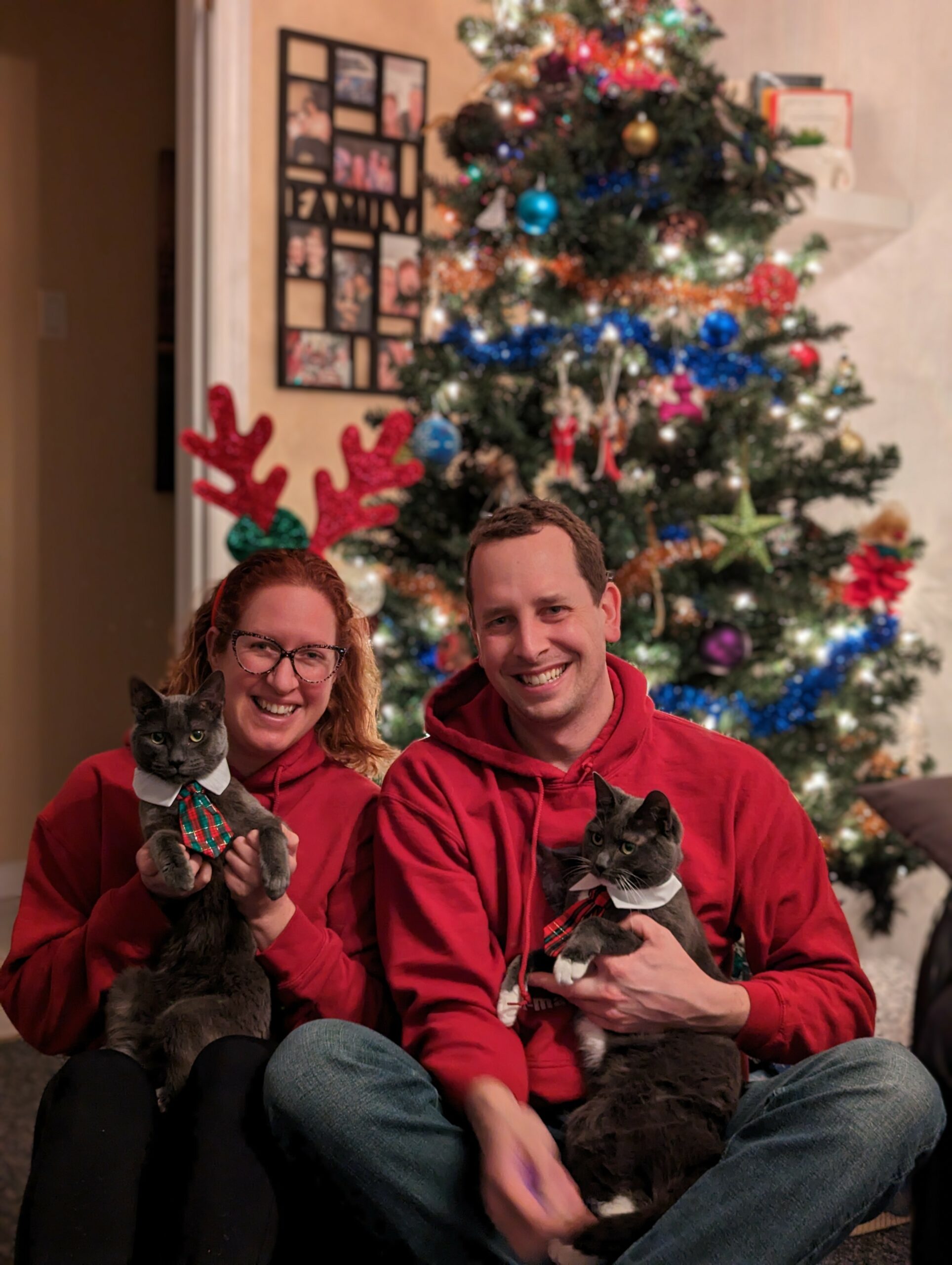 A family Christmas photo in front of a Christmas tree. Nikki and her husband Gerald and holding their grey cats who are each wearing sparkly ties.